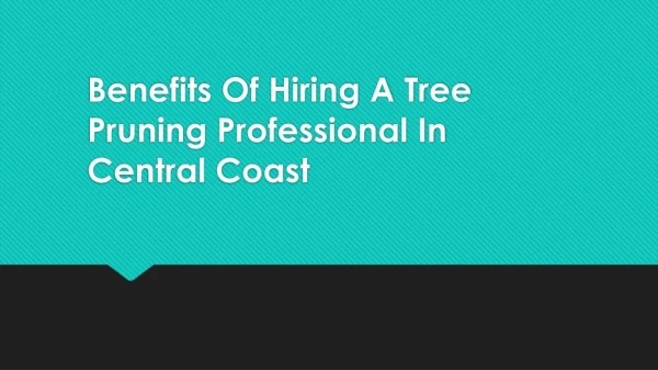 Benefits Of Hiring A Tree Pruning Professional In Central Coast