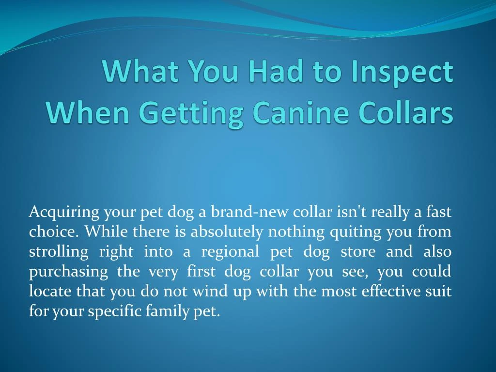 what you had to inspect when getting canine collars