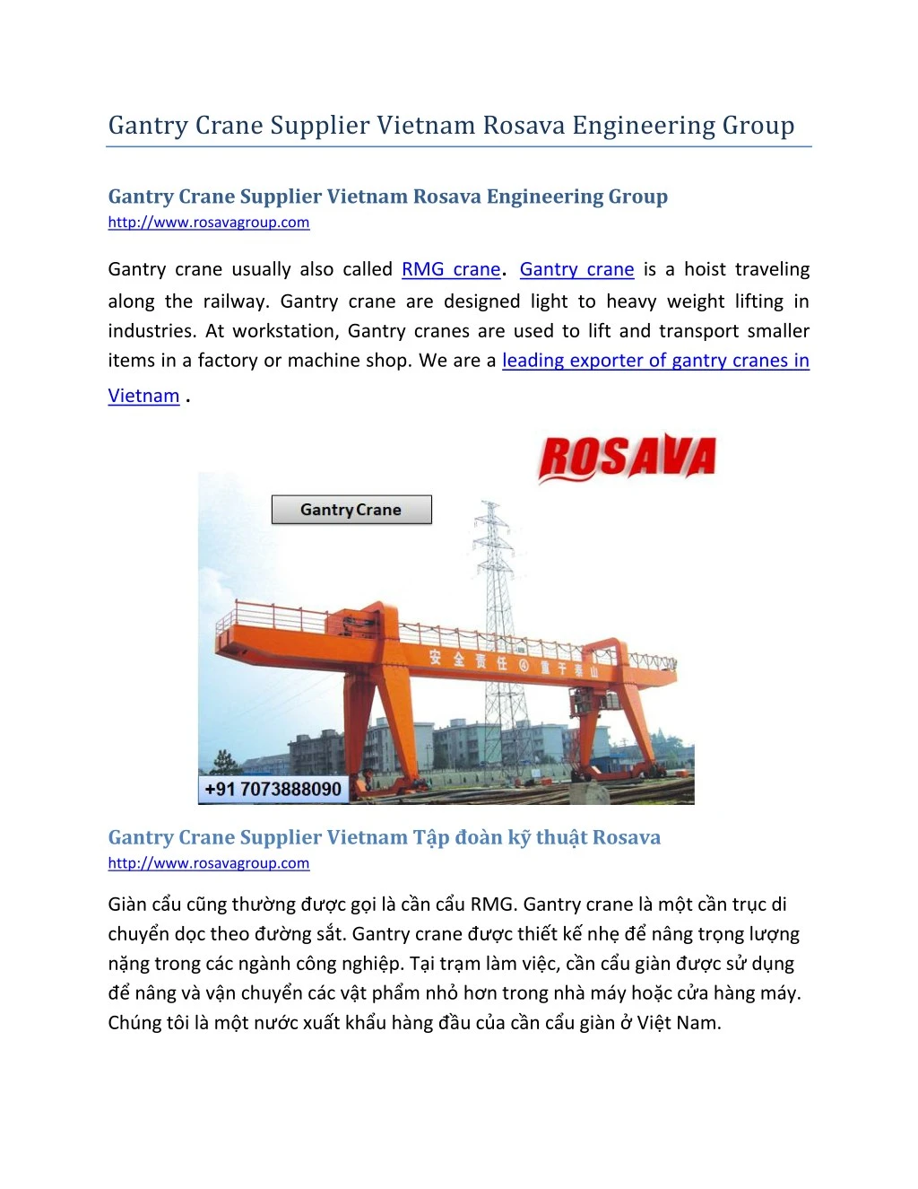 gantry crane supplier vietnam rosava engineering