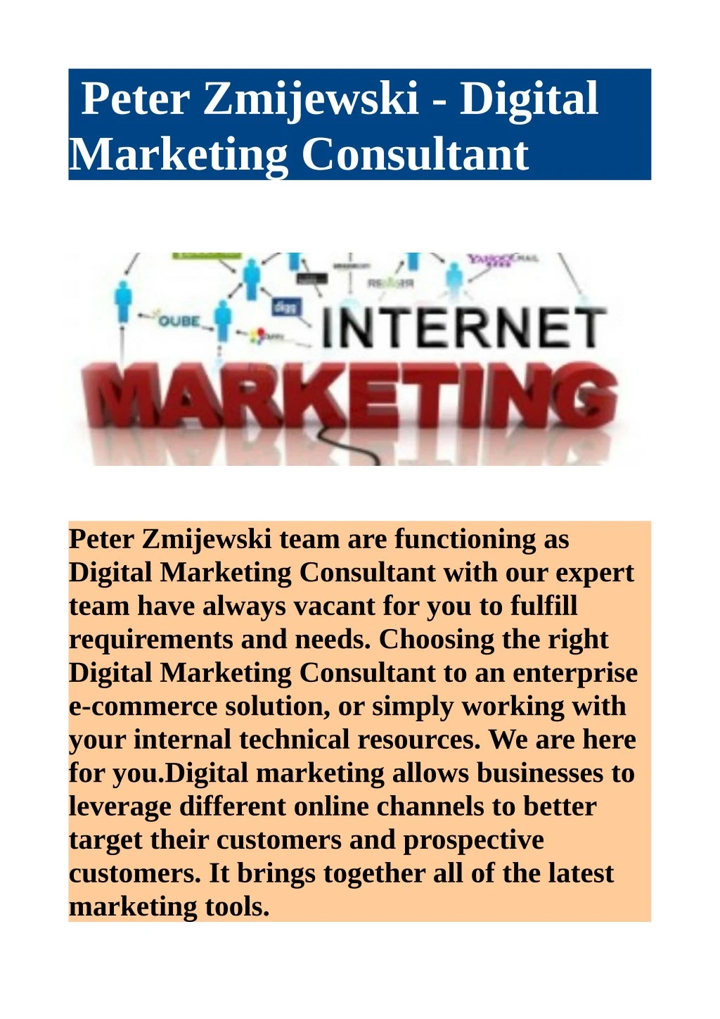 peter zmijewski digital marketing consultant