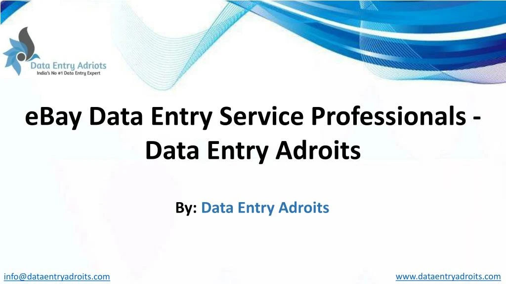 ebay data entry service professionals data entry