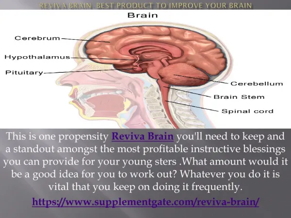 Reviva Brain- Best Product To Improve Your brain