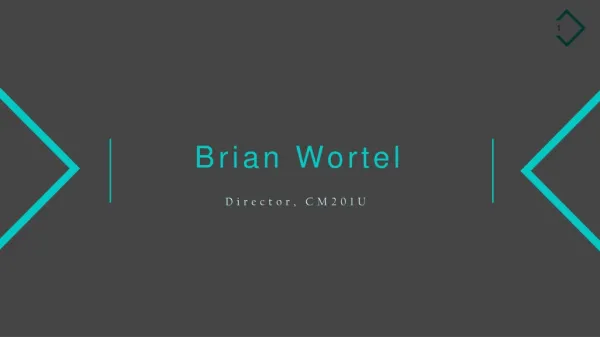 Brian Wortel - Worked as a Director at CM201U