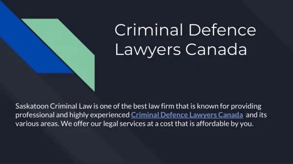 Criminal Case Lawyers