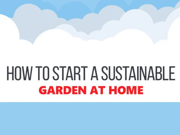 How to Start a Sustainable Garden at Home