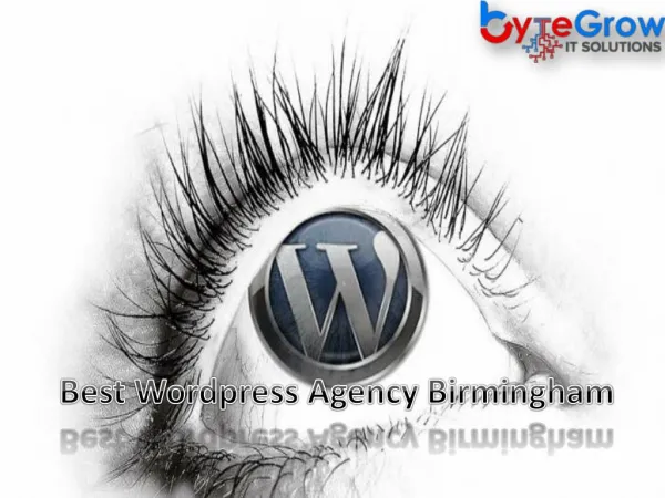 Wordpress Developer in Birmingham