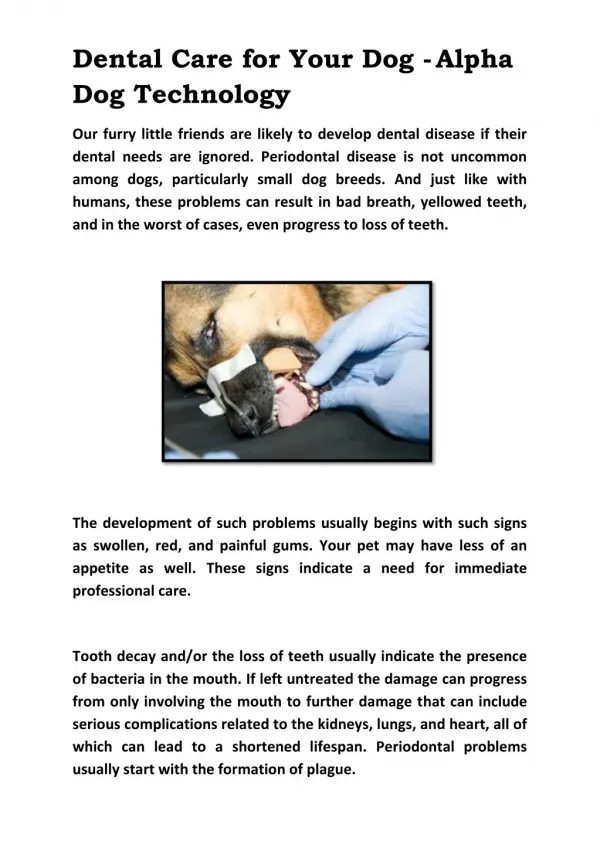 Dental Care for Your Dog - Alpha Dog Technology