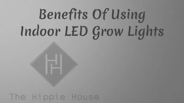 Benefits Of Using Indoor LED Grow Lights