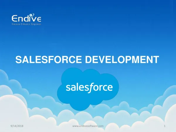 Salesforce Development by Endive Software