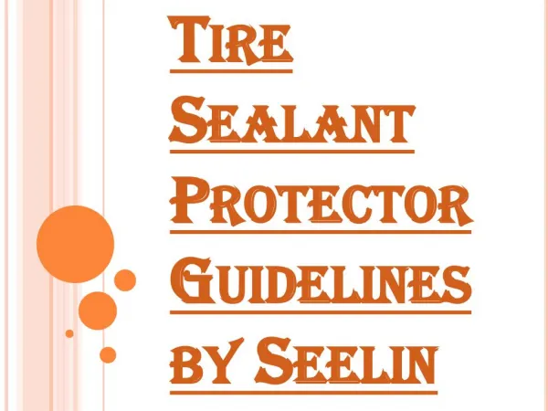 Tire Sealant Protector Guidelines by Seelin