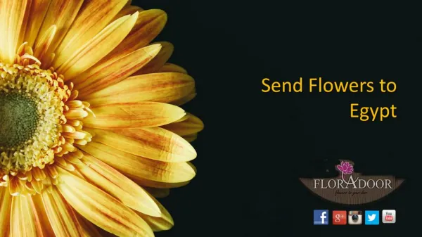 Send Flowers to Egypt | FloraDoor