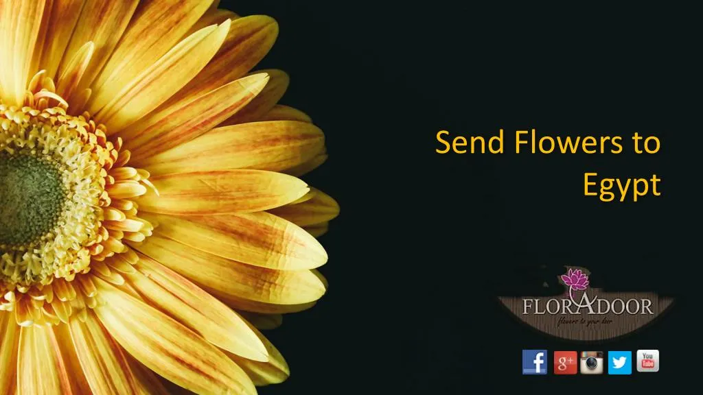 send flowers to egypt