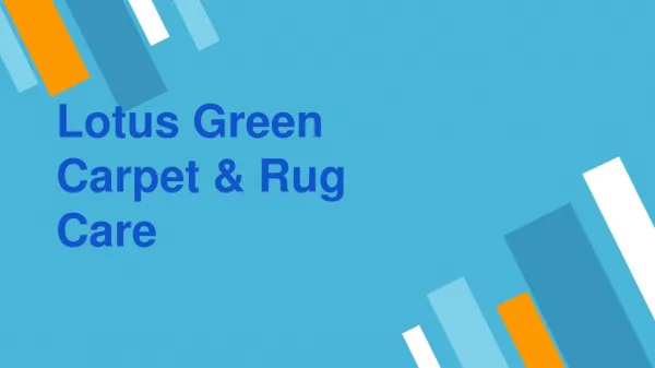 Carpet Cleaning DC Area | Lotus Green Carpet & Rug Care