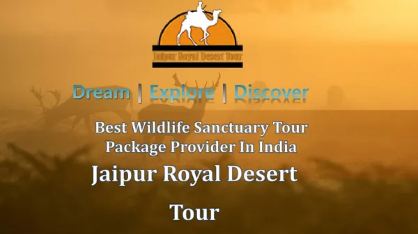 Best Wildlife Sanctuary Tour Package Provider In India