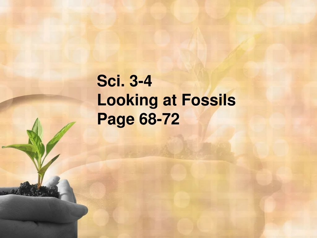 sci 3 4 looking at fossils page 68 72
