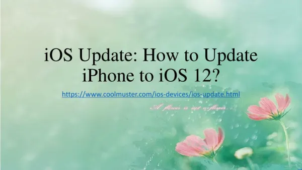 iOS Update: How to Update iPhone to iOS 12?