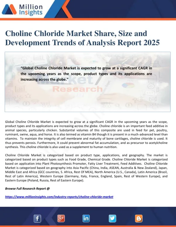 Choline Chloride Market Share, Size and Development Trends of Analysis Report 2025
