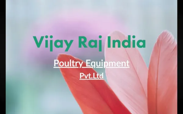 Best Poultry Equipment for Good Environment