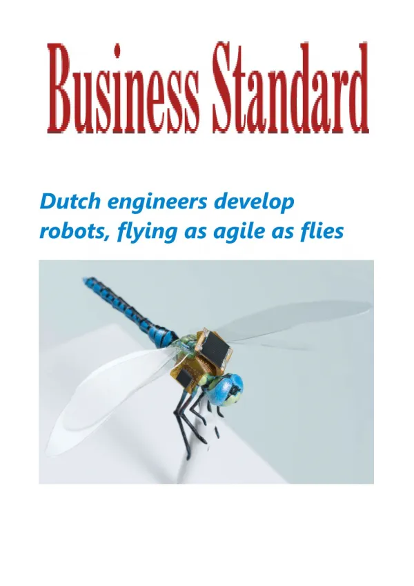 Dutch engineers develop robots, flying as agile as flies.