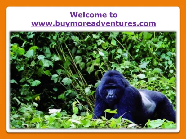 Uganda Wildlife Safari Tours