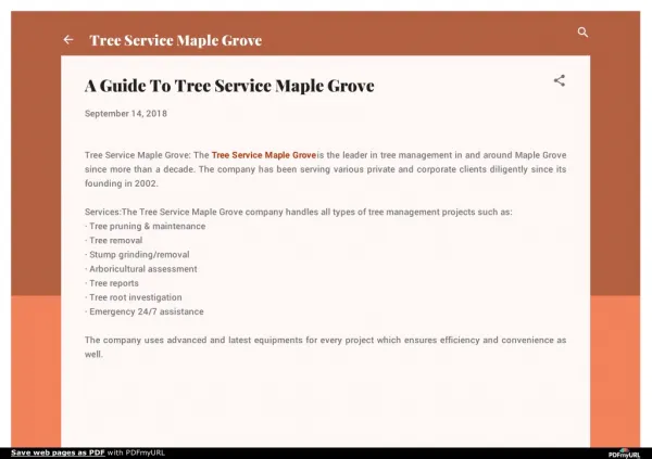 A Guide To Tree Service Maple Grove