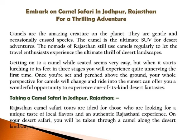 Embark on Camel Safari In Jodhpur, Rajasthan For a Thrilling Adventure