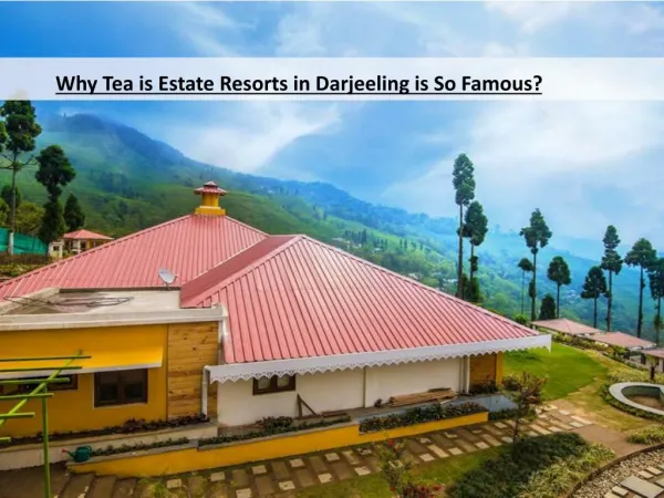 Why is Tea Estate Resorts in Darjeeling So Famous?