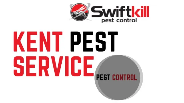 Kent Pest Services in Dartford