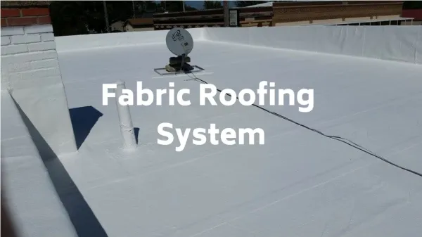 Fabric Roofing System