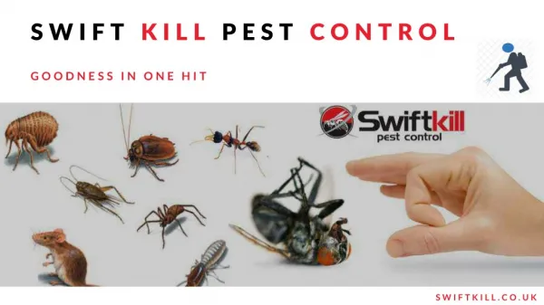 Quality Pest Control Services