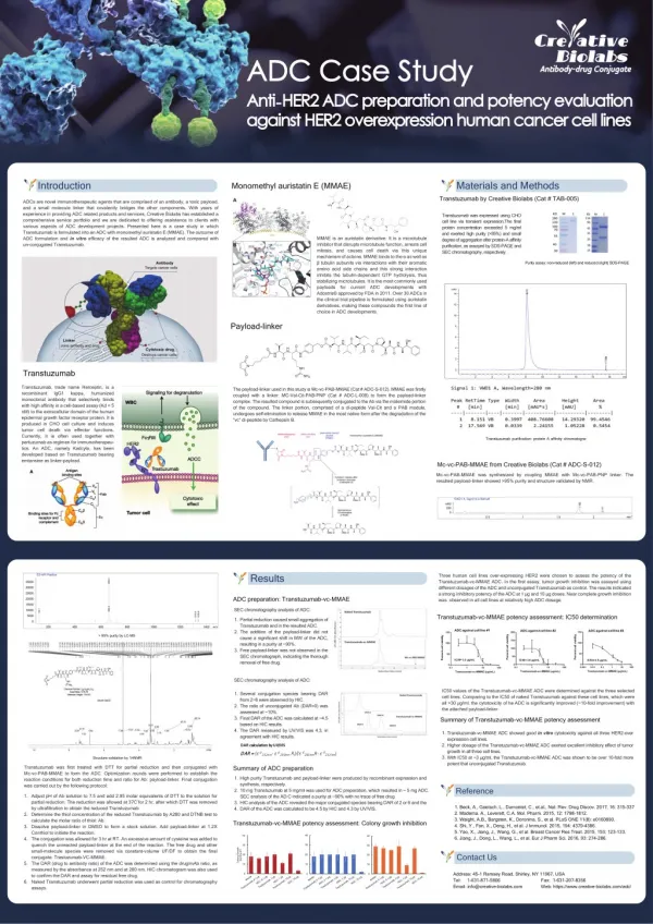 ADC Case Study Anti-HER2 ADC Preparation & Potency Evaluation Against HER2 Overexpression Human Cancer Cell Line