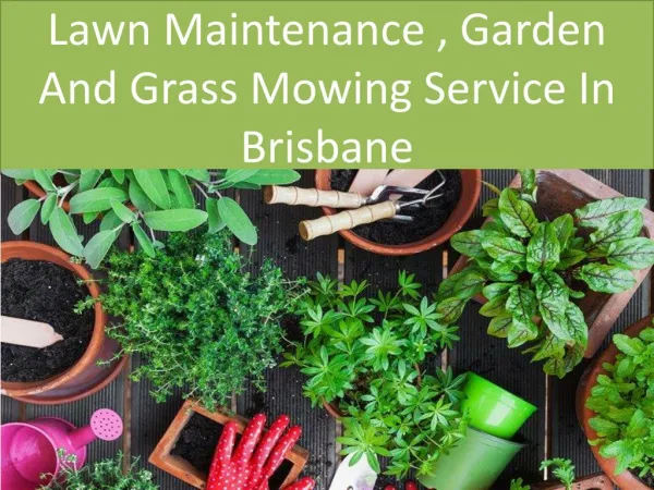 Lawn Maintenance , Garden And Grass Mowing Service In Brisbane