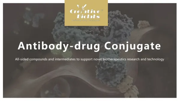 Antibody drug Conjugates