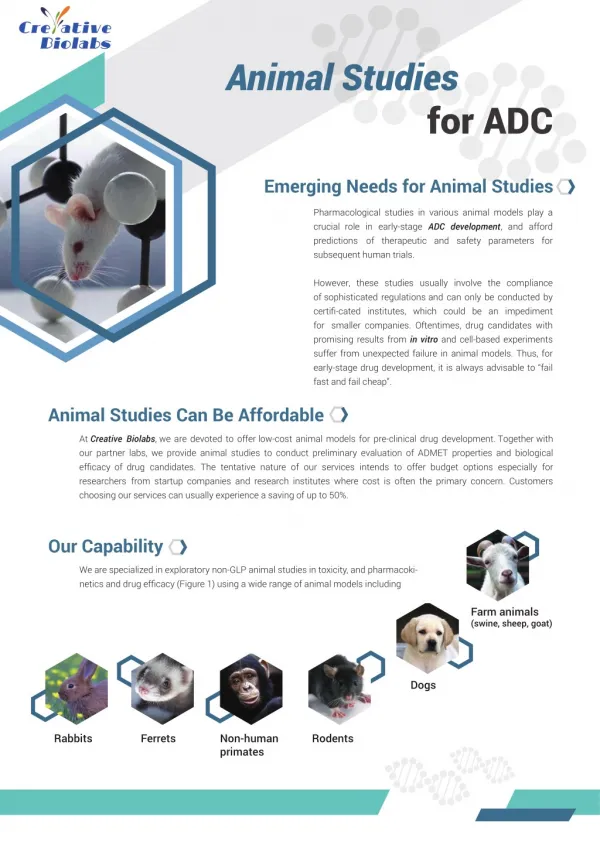 Animal Studies for ADC