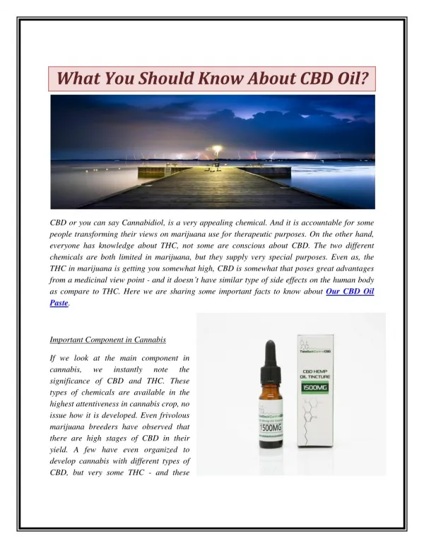 What You Should Know About CBD Oil?