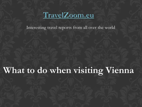 What to do when visiting Vienna