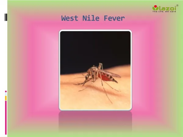 West Nile Fever: Causes, Symptoms, Daignosis, Prevention and Treatment