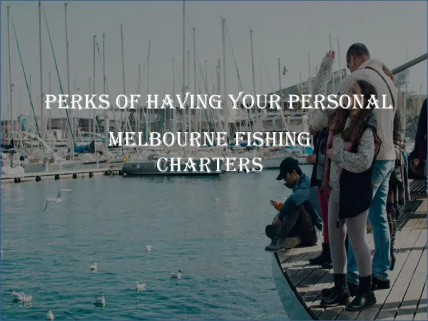 Perks of Having Your Personal Melbourne Fishing Charters