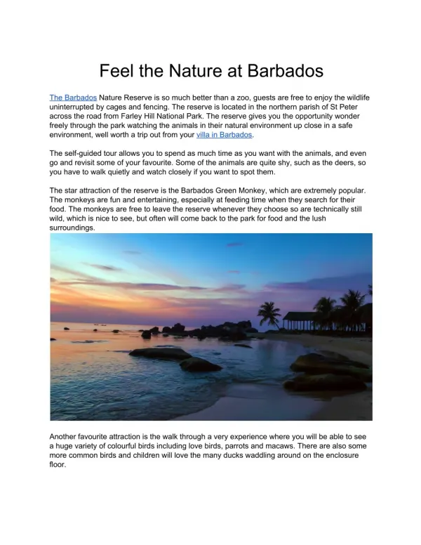 Feel the nature at barbados