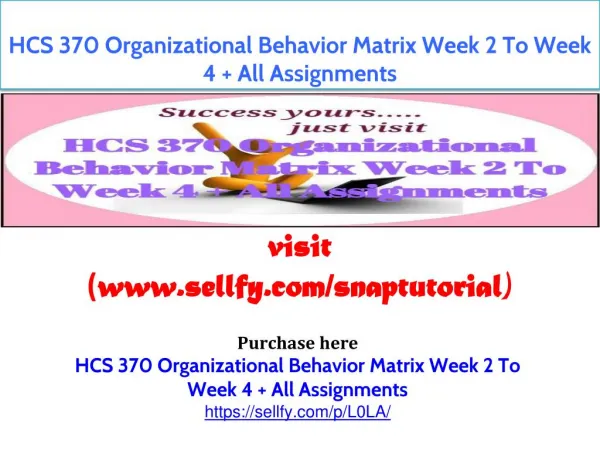 HCS 370 Organizational Behavior Matrix Week 2 To Week 4 All Assignments