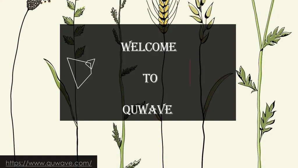 welcome to quwave