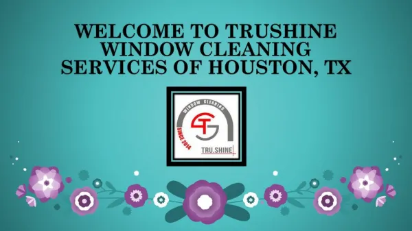 Clean Your Home Windows with Trushinewindowcleaning.com