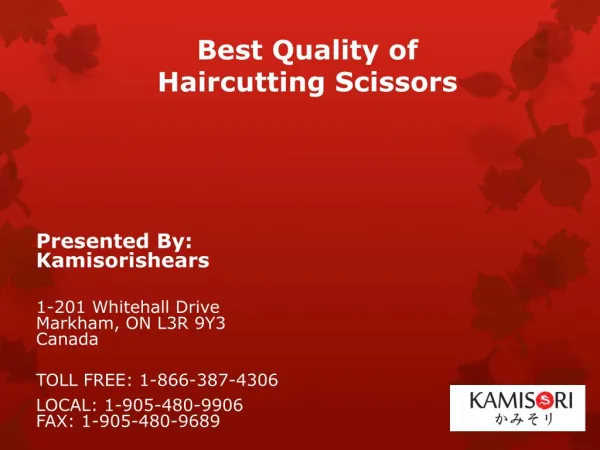 Best quality hair cutting scissors for professionals.