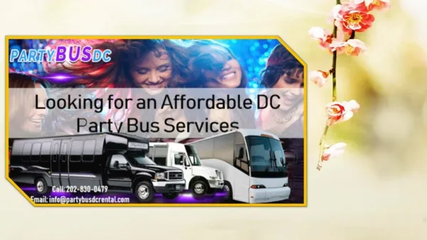 Looking for an Affordable DC Party Bus Services