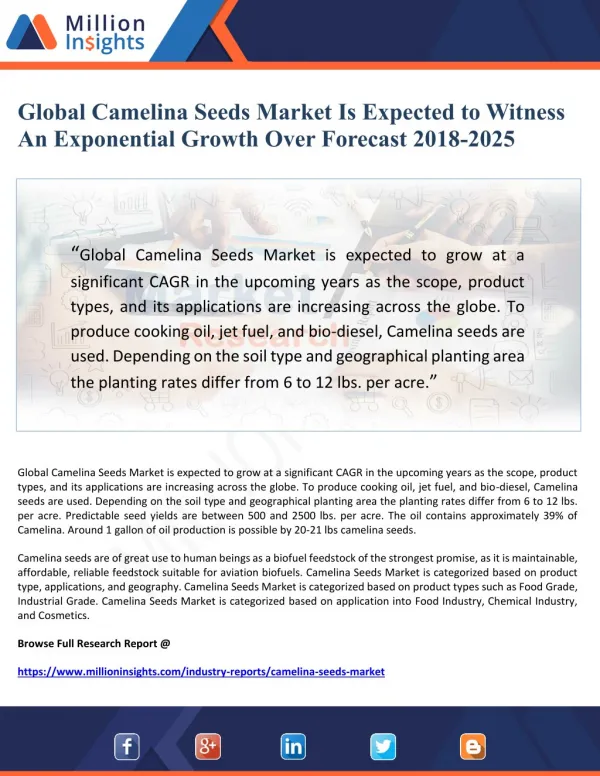 Global Camelina Seeds Market Is Expected to Witness An Exponential Growth Over Forecast 2018-2025