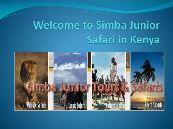 Welcome to you simba junior tours & travel worldwide safari