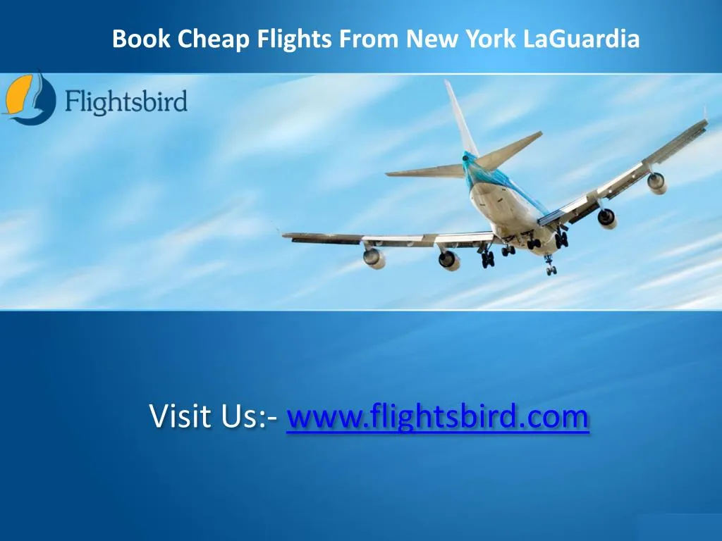 visit us www flightsbird com