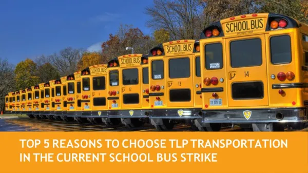 Top 5 reasons to choose TLP Transportation