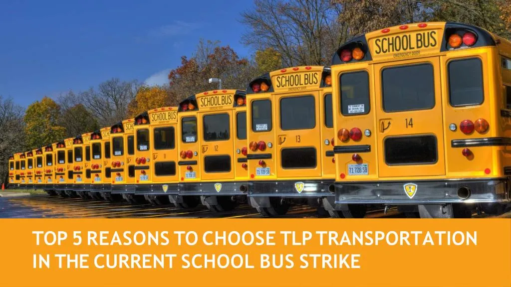 top 5 reasons to choose tlp transportation in the current school bus strike