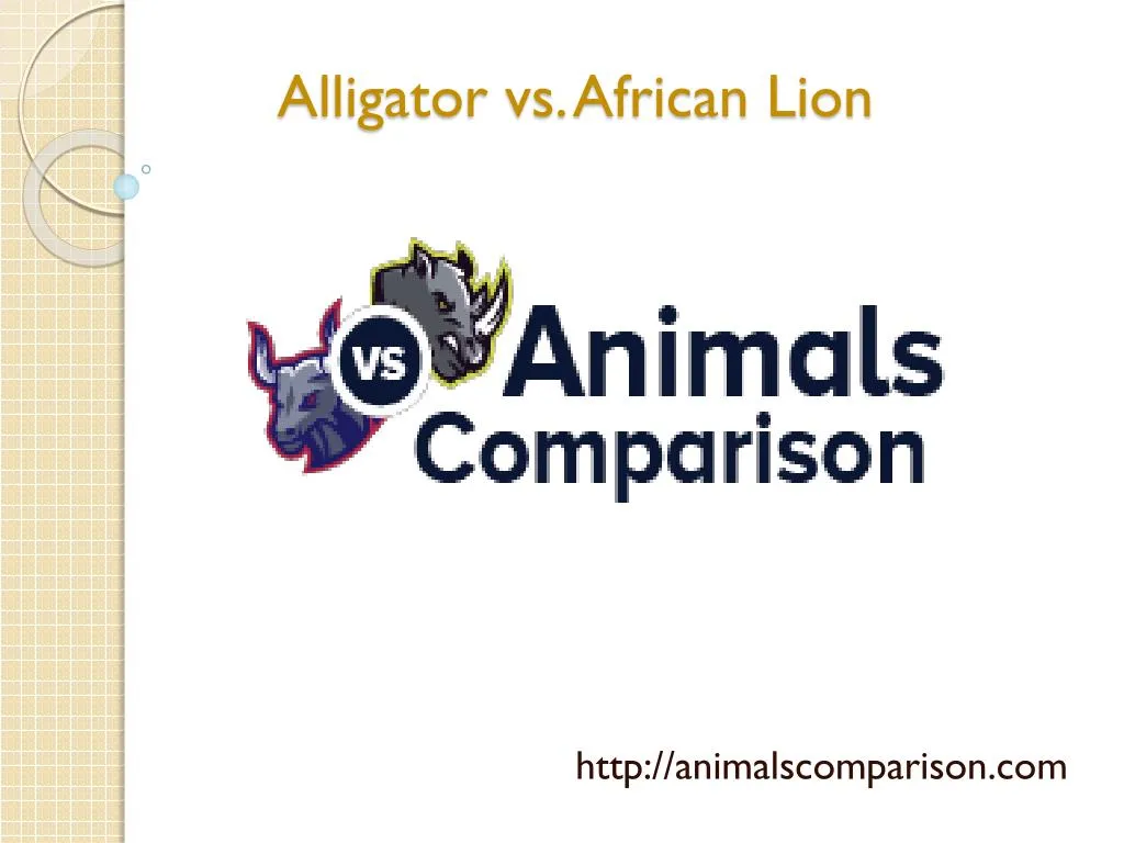 alligator vs african lion